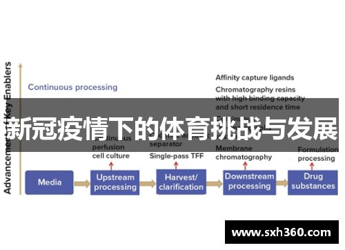 新冠疫情下的体育挑战与发展